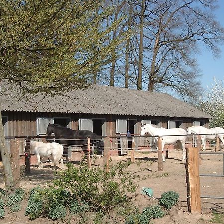 Villa Ferienhof Schmidt Ankum Exterior foto