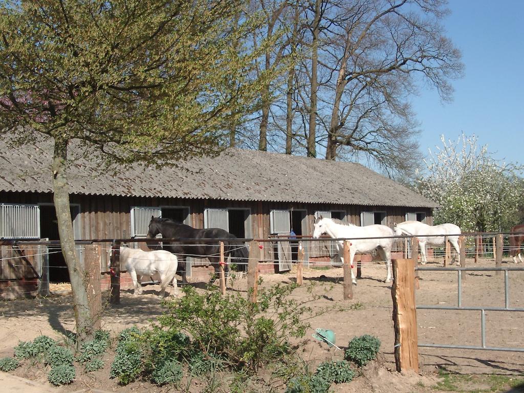 Villa Ferienhof Schmidt Ankum Exterior foto